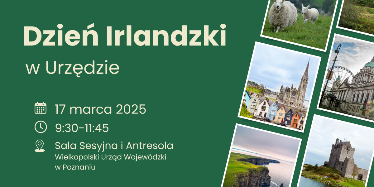 Dzień Irlandzki w WUW