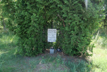 zdjęcie grobu z okresu II wojny światowej. Gniezno.