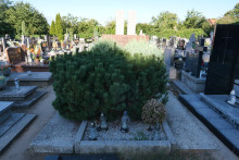 zdjęcie grobu ofiar niemieckiego obozu karnego w Łasewie. Pleszew