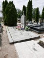 zdjęcie grobu Powstańców Wielkopolskich w Jankowie Zaleśnym