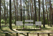 Lasy Rożnowskie