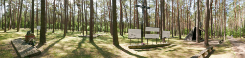 Lasy Rożnowskie - mogiły zbiorowe